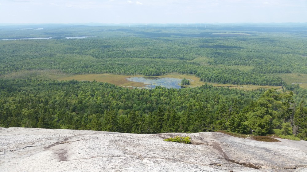 Tunk Mountain Maine Trail Finder