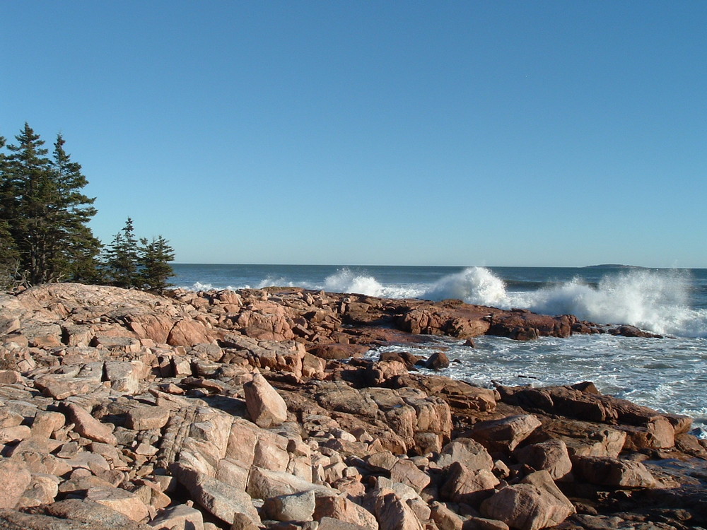 Acadia National Park Ship Harbor Trail Maine Trail Finder