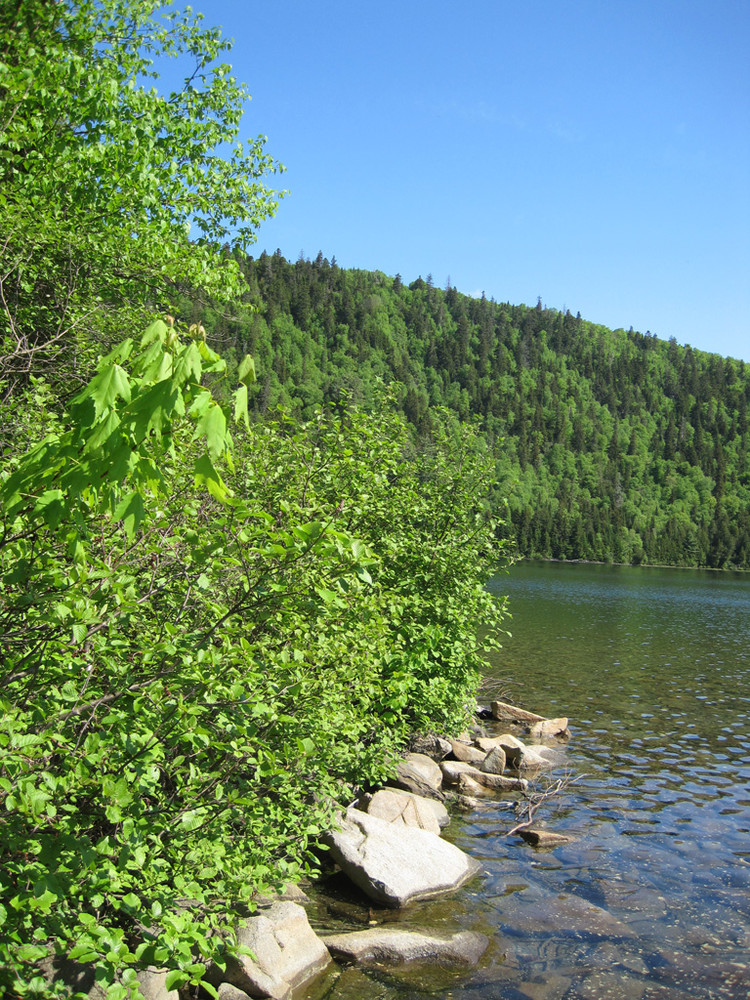 All Weather Tire >> Deboullie Public Reserved Land - Maine Trail Finder All Weather Tire >> Deboullie Public Reserved Land - Maine Trail Finder