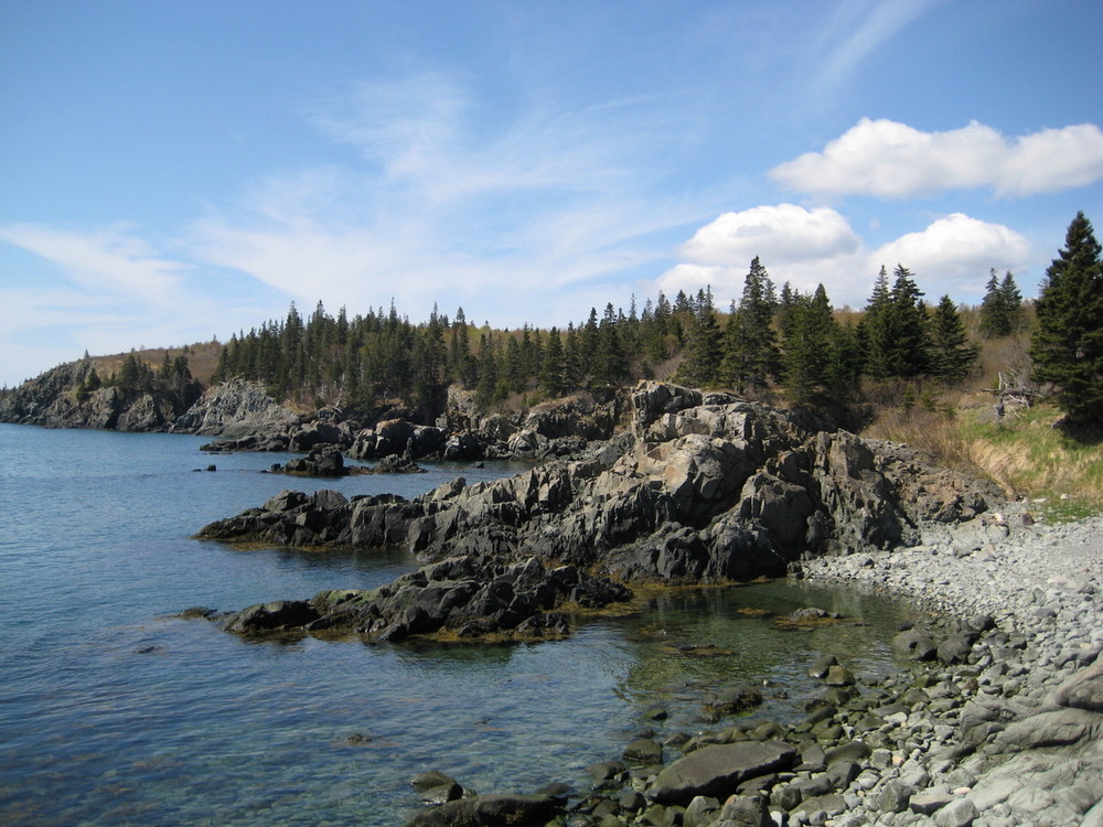 Bog Brook Cove Preserve Maine Trail Finder