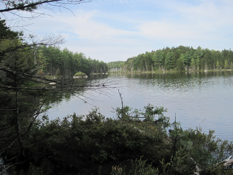 Debsconeag Lakes Wilderness Area Rainbow Lake Maine Trail Finder