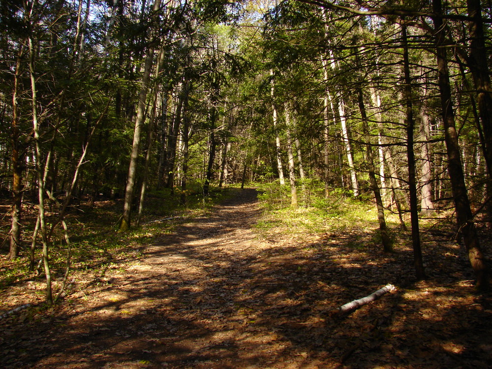 Falmouth Nature Preserve Maine Trail Finder