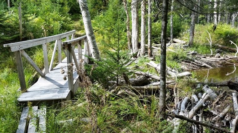 Furth Wildlife and Talalay Nature Sanctuaries Maine