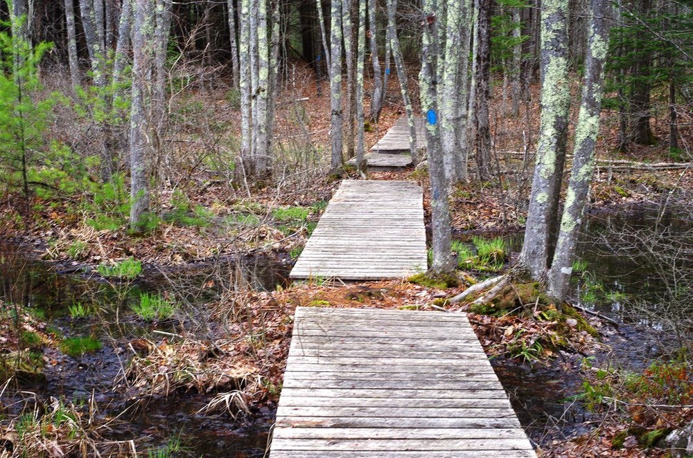 Shaker Woods Reserve Maine Trail Finder