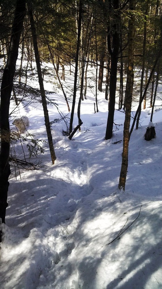 Cathance River Trail Maine Trail Finder