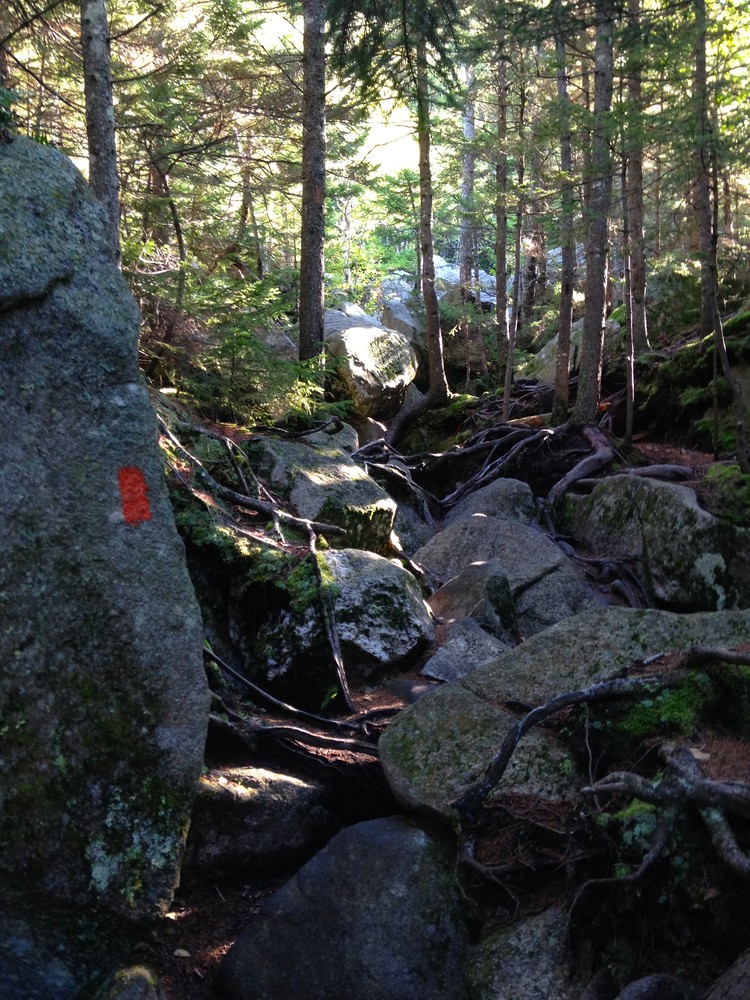 Grafton Notch State Park Baldpate Mountain and Table Rock Loop Maine Trail Finder