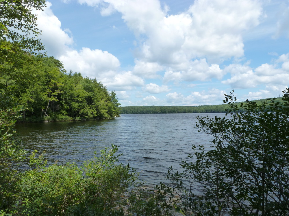Lake Regional Park Maine Trail Finder