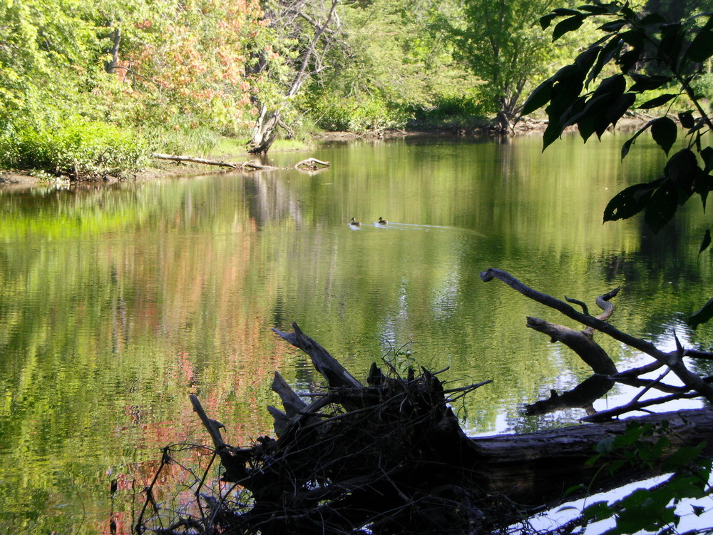 Oxbow Trail Maine Trail Finder
