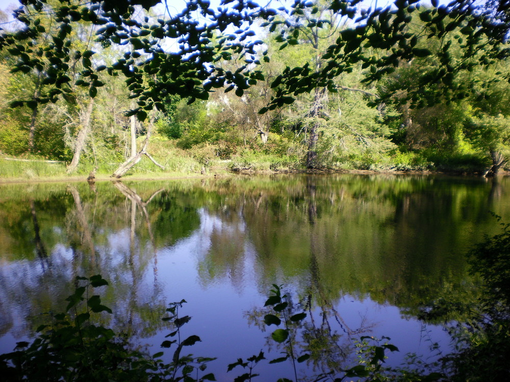 Oxbow Trail Maine Trail Finder