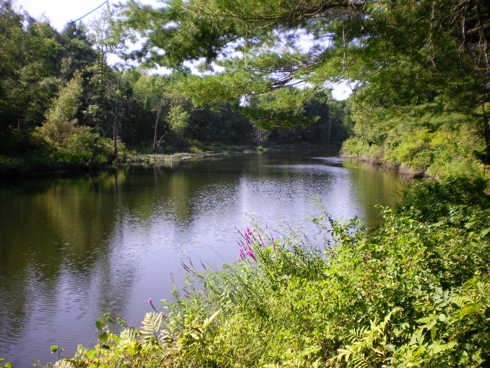 Oxbow Trail Maine Trail Finder
