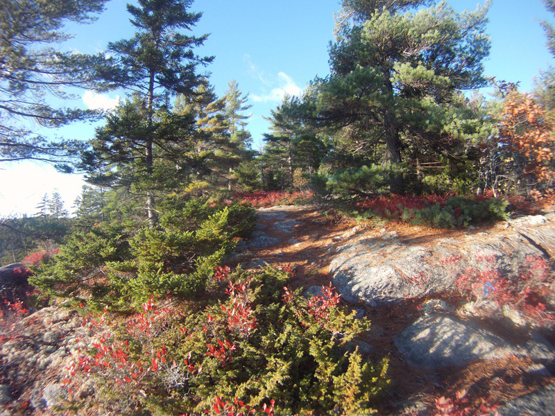 Baker Hill and Long Ledges Preserve Maine Trail Finder