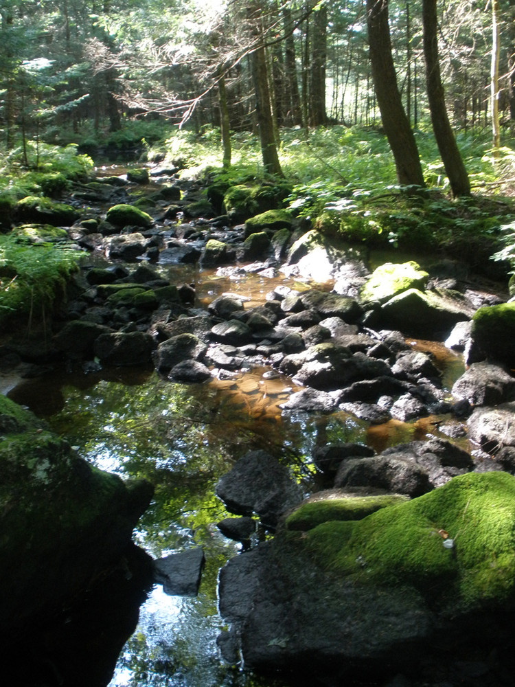 Androscoggin Riverlands State Park Hiking Trails Maine