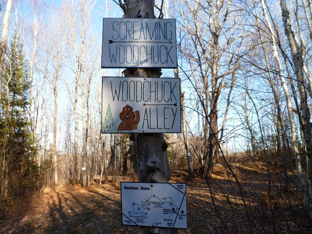 Woodland Community Trails Maine Trail Finder