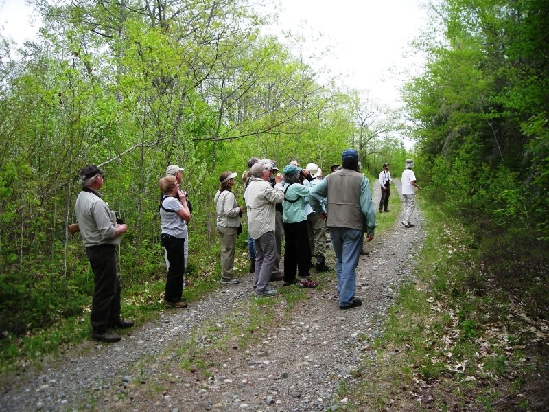 Moosehorn National Wildlife Refuge Baring Maine Trail Finder