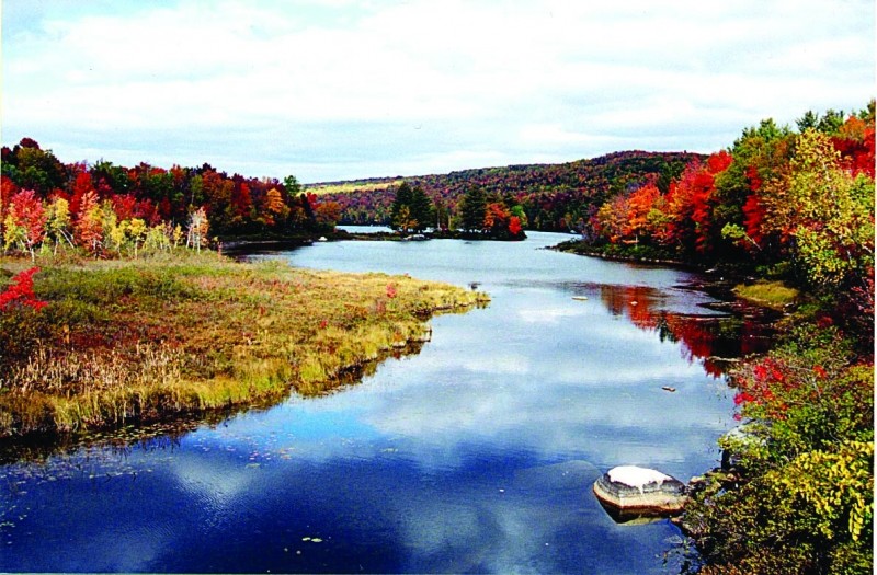Lake Regional Park Maine Trail Finder