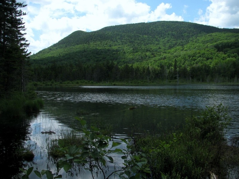 Grassy Pond Trail Maine Trail Finder