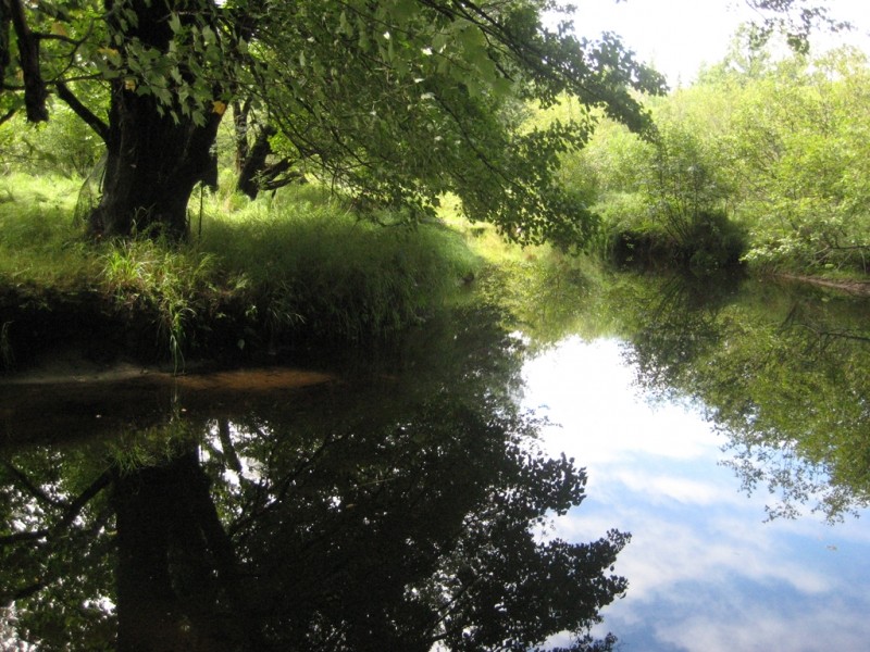 Gibson Preserve Maine Trail Finder