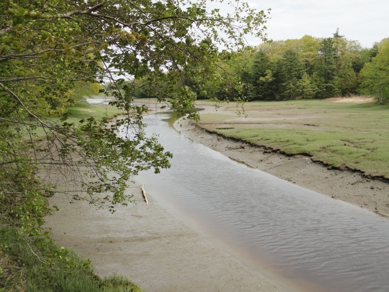 Long Creek Trail Maine Trail Finder