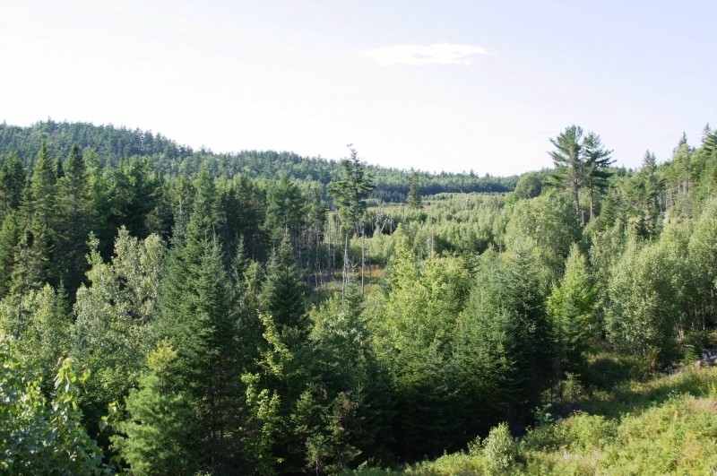 Moosehorn National Wildlife Refuge Baring Maine Trail Finder