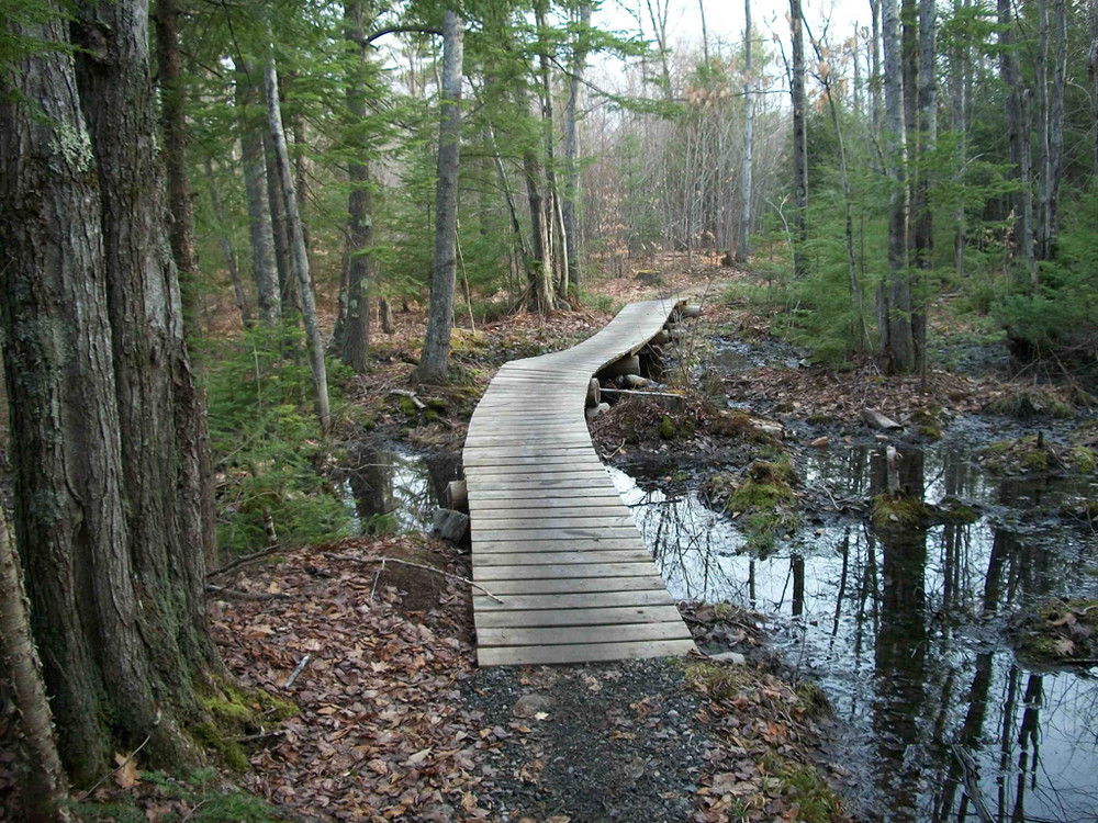 Escape to the Maine Woods: A Journey to Bradbury Mountain State Park