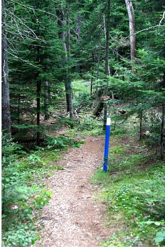 Moosehorn National Wildlife Refuge Baring Maine Trail Finder