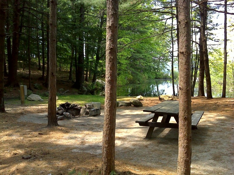 Sebago Lake State Park Campground Maine Trail Finder