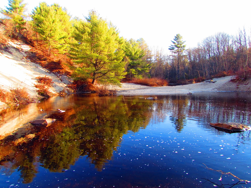Waterboro Barrens Preserve Maine Trail Finder