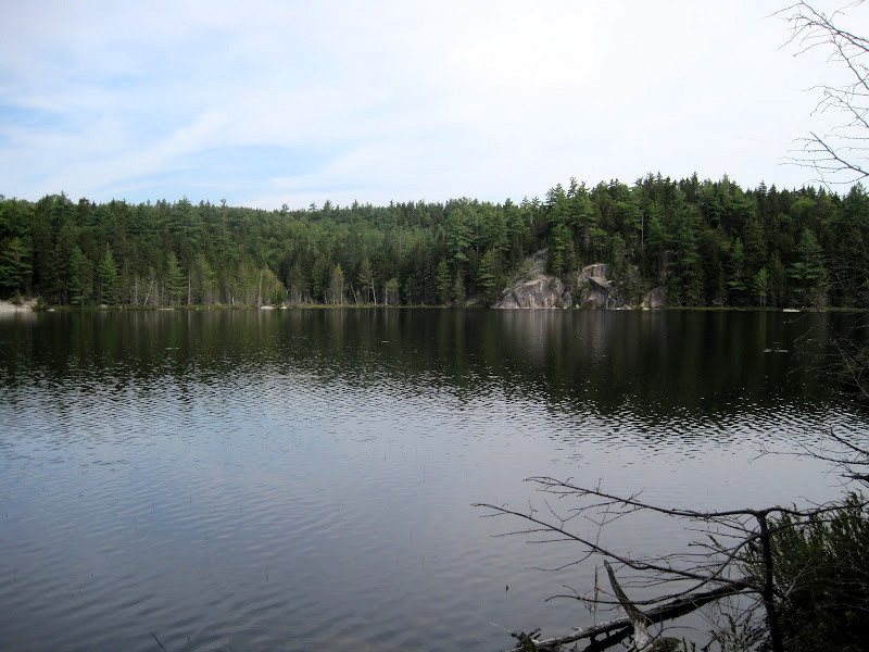 Debsconeag Lakes Wilderness Area Rainbow Lake Maine Trail Finder
