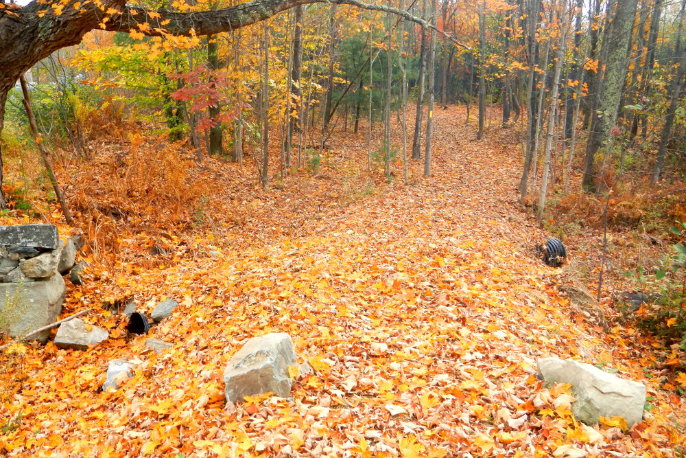 Readfield Fairgrounds Maine Trail Finder