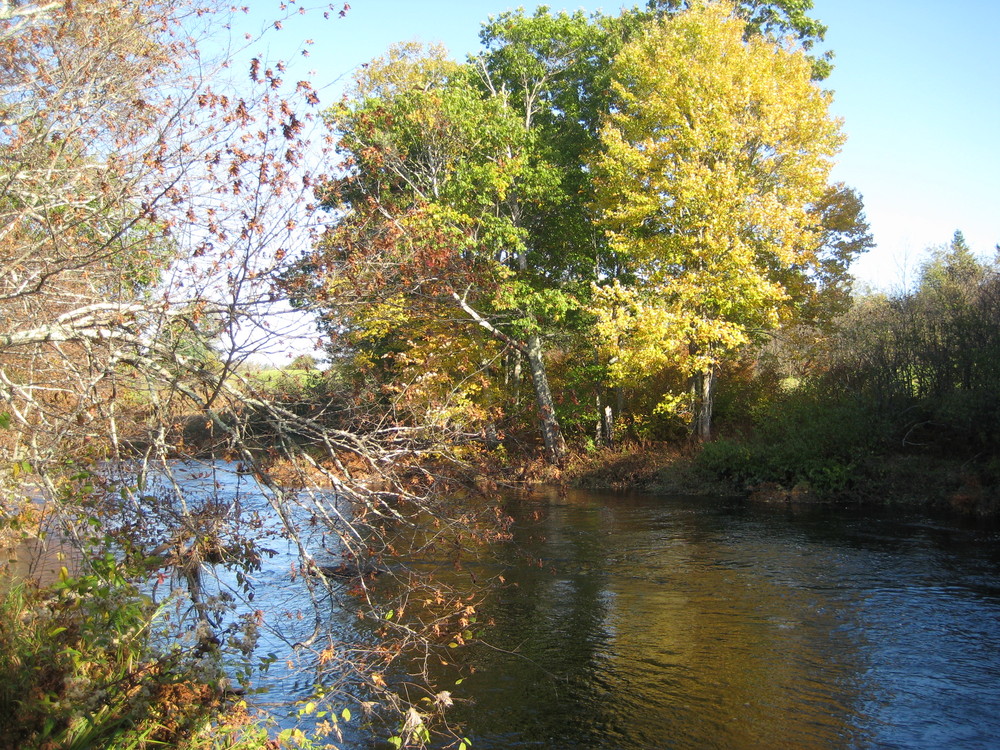 Appleton Preserve Maine Trail Finder