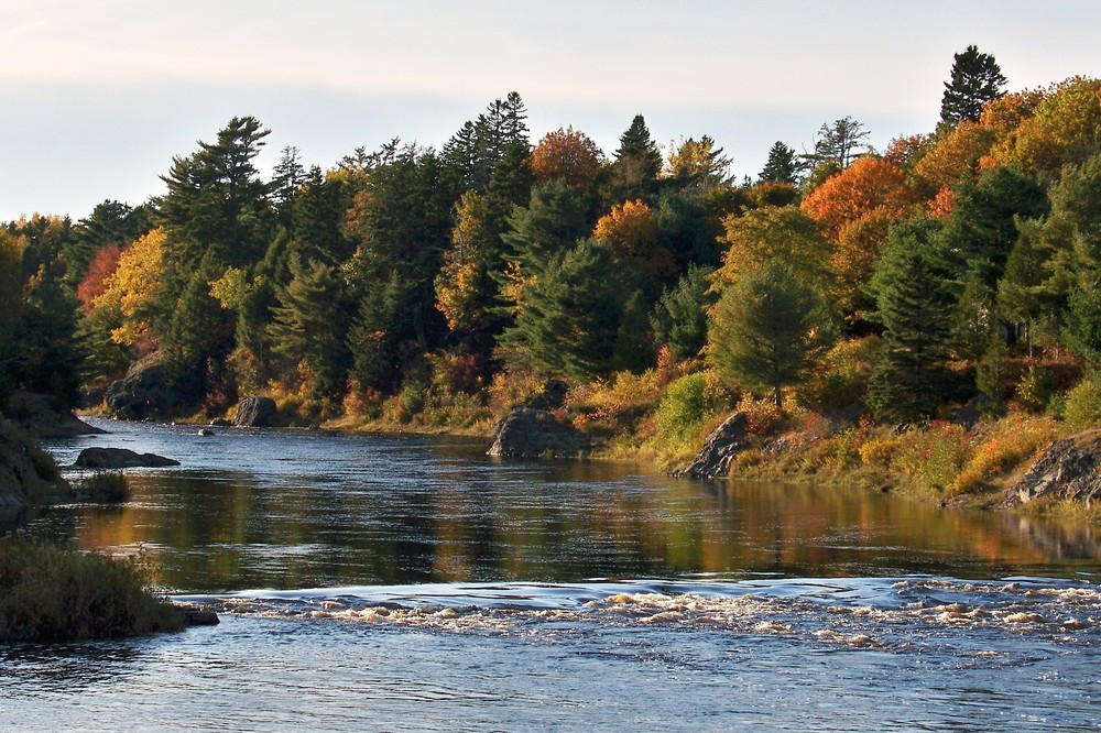 Where The Wild Things Are: Exploring Maine’s Machias River Corridor