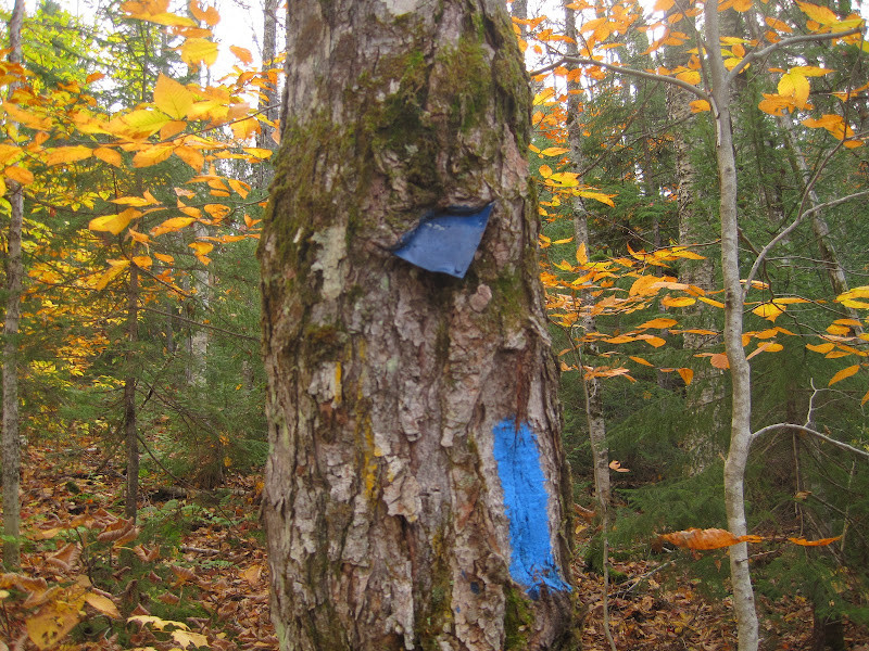 Debsconeag Lakes Wilderness Area Rainbow Lake Maine Trail Finder