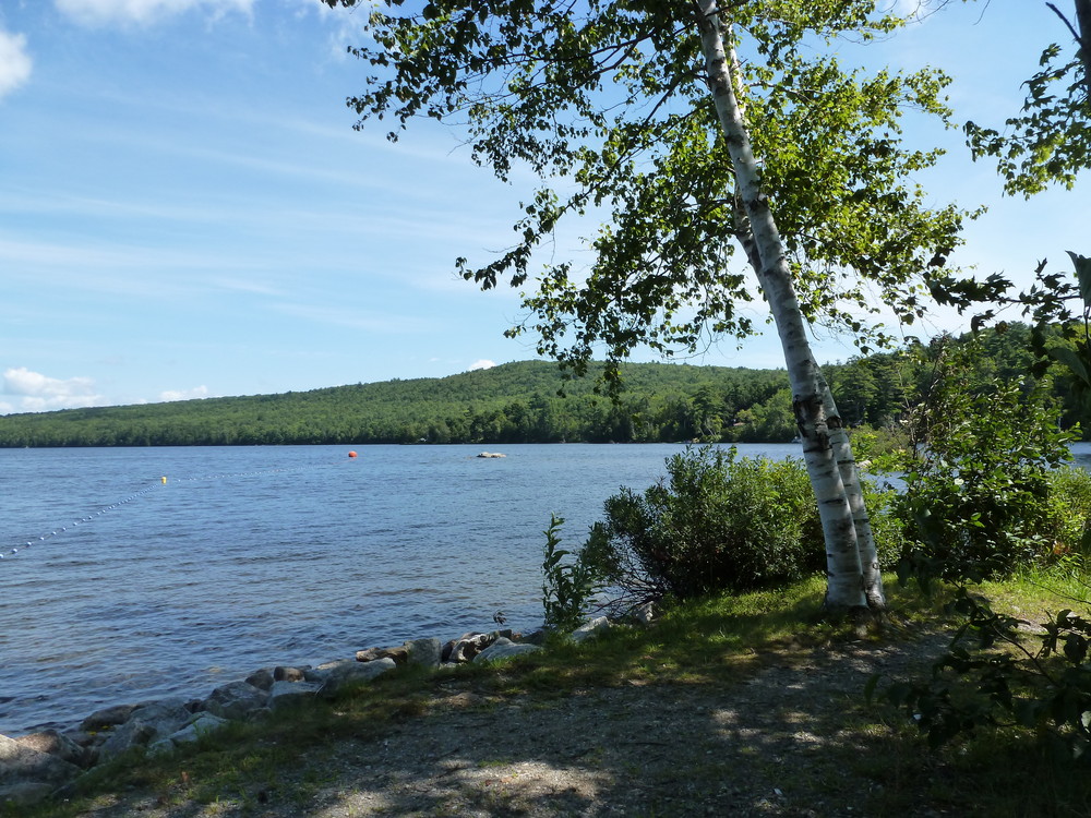 Lake Regional Park Maine Trail Finder