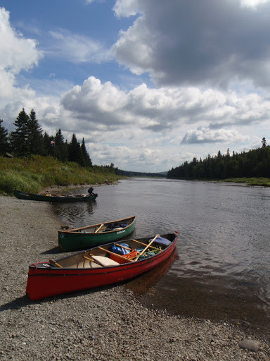 biography - craig tennant - craig tennant art