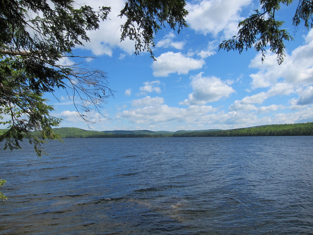 Parker Pond Headland Preserve Maine Trail Finder