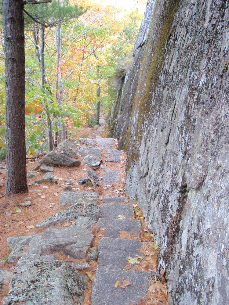 Acadia National Park - Ladder Trail Loop - Maine Trail Finder
