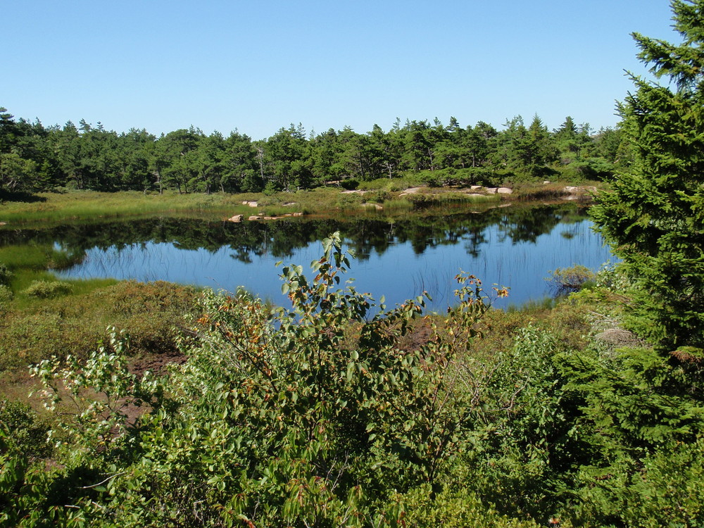 Acadia National Park - Cadillac Mountain South Ridge - Maine Trail Finder