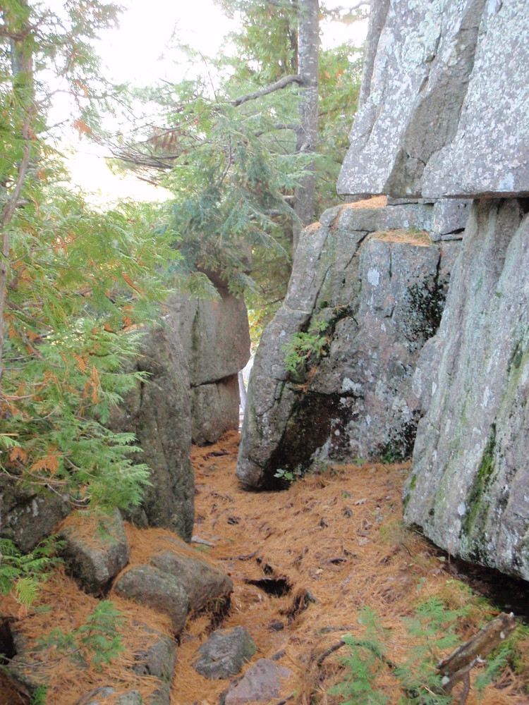 Acadia National Park Ladder Trail Loop Maine Trail Finder
