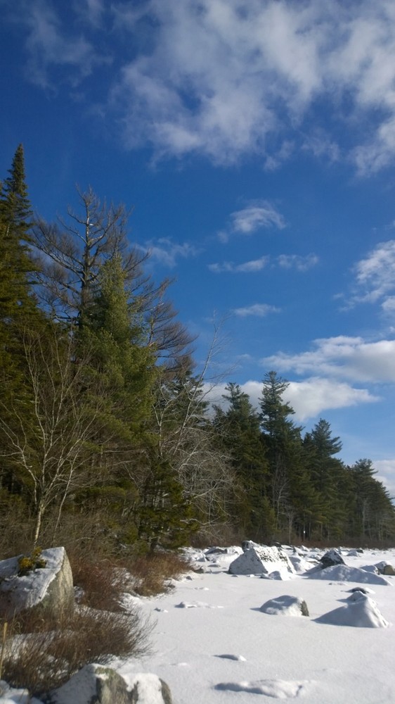 Branch Lake Public Forest Maine Trail Finder