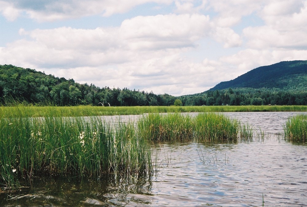 South Bog Conservation Area Maine Trail Finder