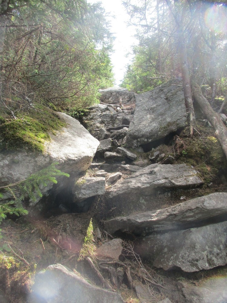 Mount Blue State Park Mount Blue Trail Maine Trail Finder