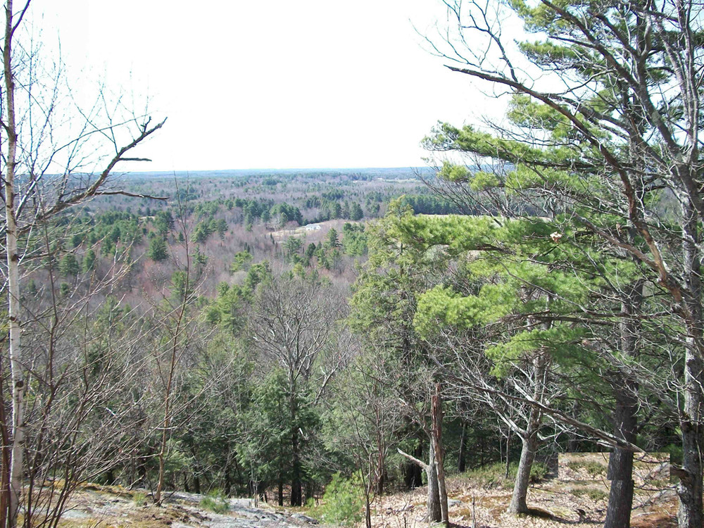 Bradbury Mountain State Park Mountain Biking Trails Maine Trail Finder