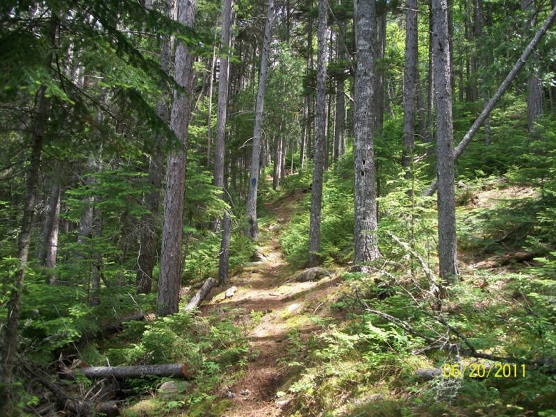 Scraggly Lake Public Reserved Land Owl's Head Trail Maine Trail Finder