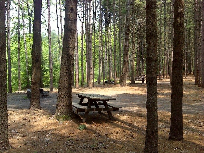 Sebago Lake State Park - Campground - Maine Trail Finder