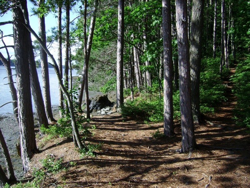 Long Reach Preserve Maine Trail Finder