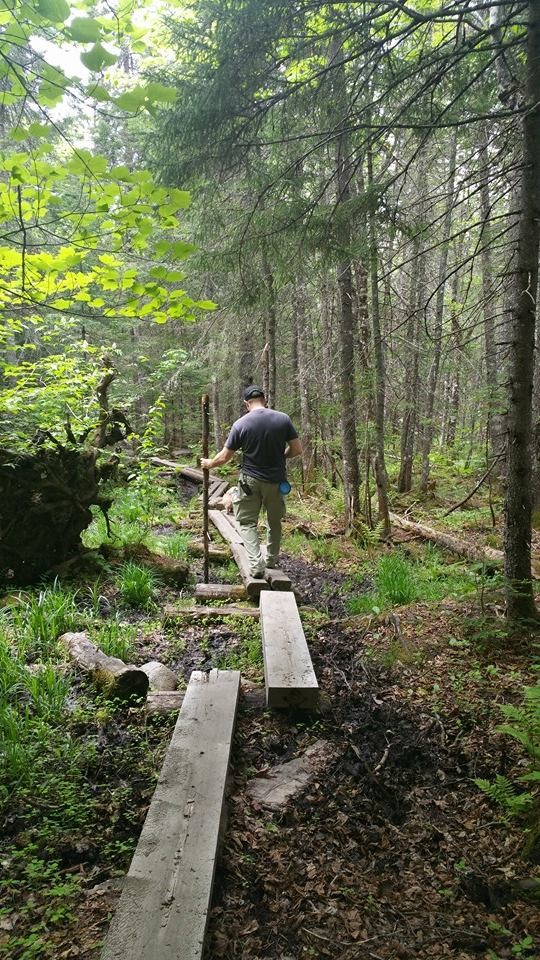 Appalachian Trail - Piazza Rock - Maine Trail Finder